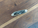 Richartz Solingen Pen Knife Vintage