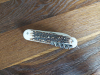 Mercury 913-8DC Dádýrahorn