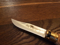 Antonini Old Bear Olífuviður L